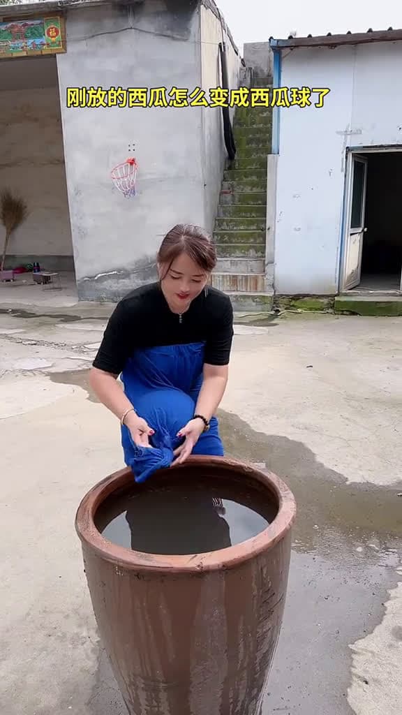 cover for funnyvideos funny cute fyb 24257 #nicevideo