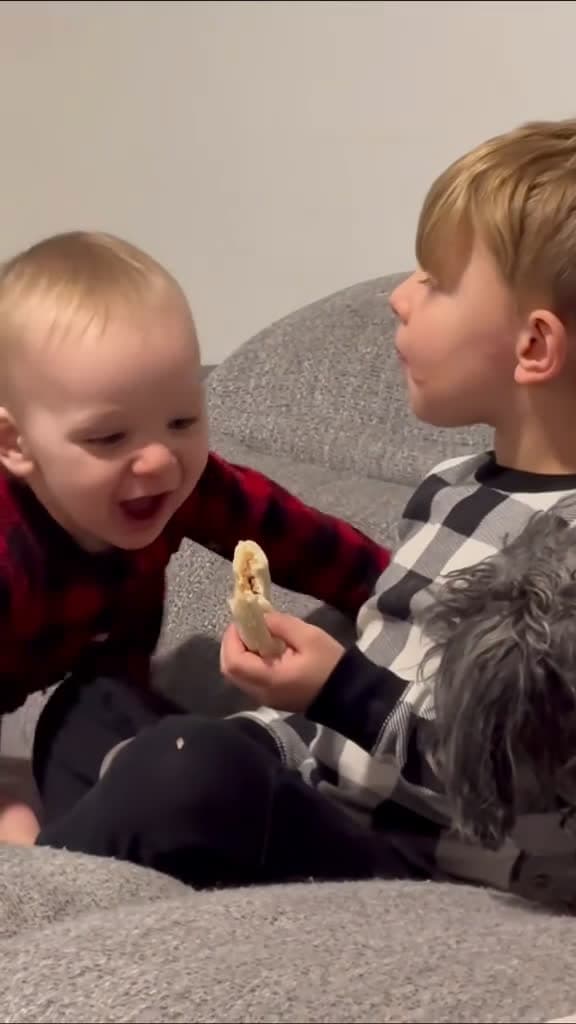 cover for The dog took the baby s food dogsoftiktok funnyvideos funny foryou fyp funnydog dogs 67134 #trending