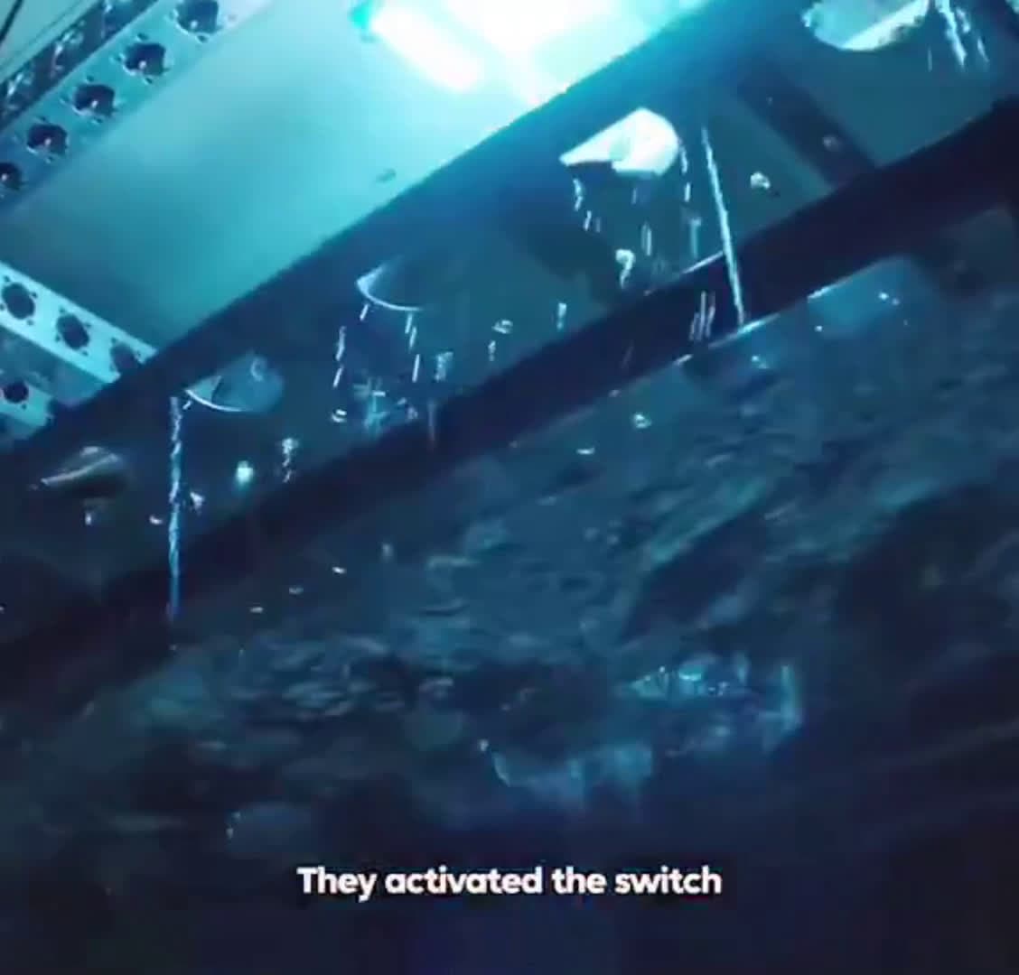 cover for They captured real life mermaid 😳💀 #4kvisionmedia #NextScene #Movies #MovieNight #MovieTime #MovieClips #Blockbuster #FilmCommunity #HollywoodMovies #MovieVibes #FilmLovers #NowWatching #MustWatchMovies #Cinema #MovieAddict 
