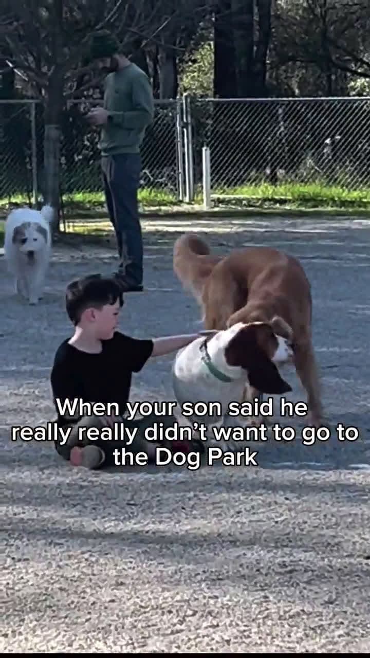 cover for Too cute to handle! 🥰 #Adorable #CuteMoments #Heartwarming