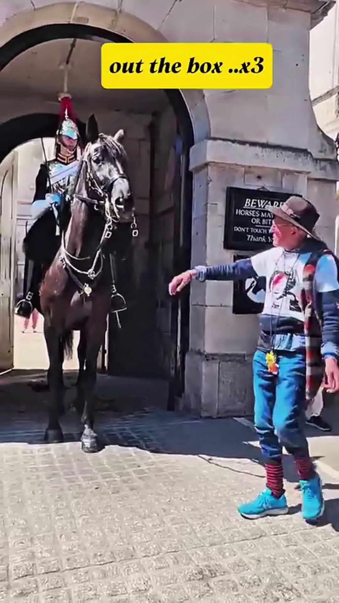 cover for 2 men disrespect the king's guards and the ending..! #horseguardsparade #kingsguards