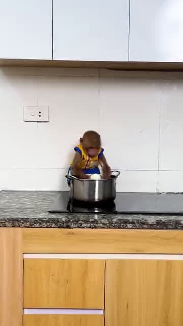 cover for BiBi cooked eggs for LaLa to eat when secretly taking them from the neighbors house #bestphotochallenge #BestPhotographyChallengeio #picturechallenge #photo #challenge #photog