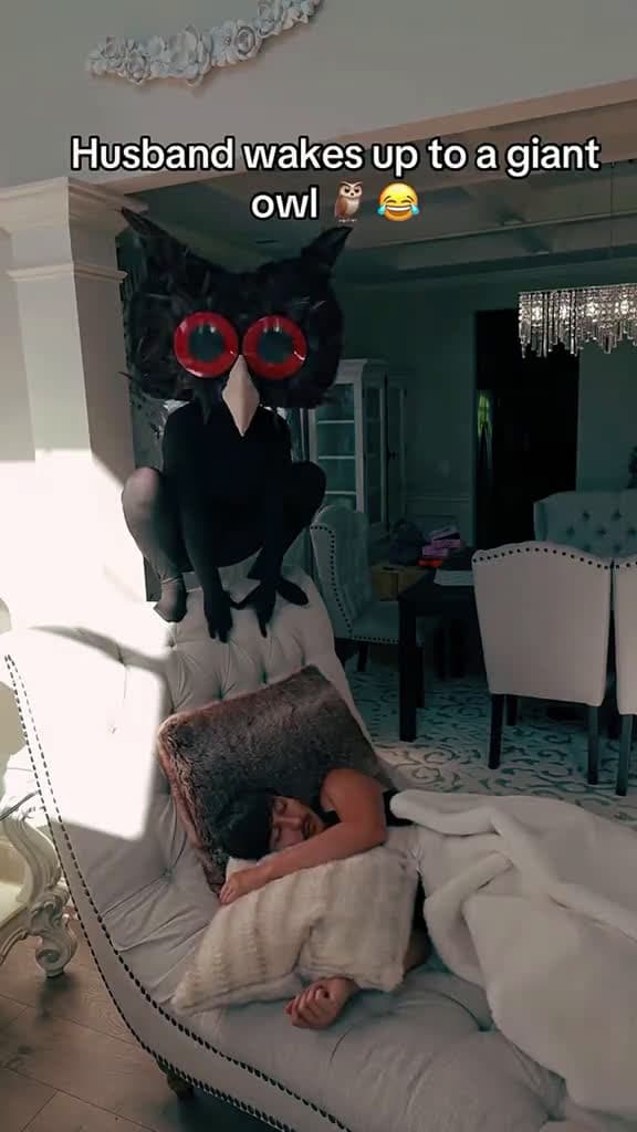 cover for Giant crow prank #prank #fypp #funnyy #pranks #scareprank #usa #scoopz