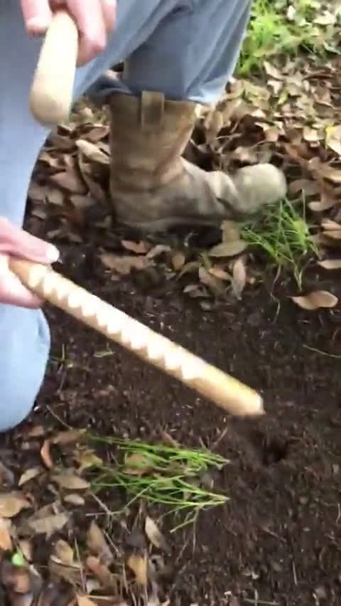 cover for How to catch worms using just a stick! 🐛 #LifeHacks #FishingTips #WormCatching