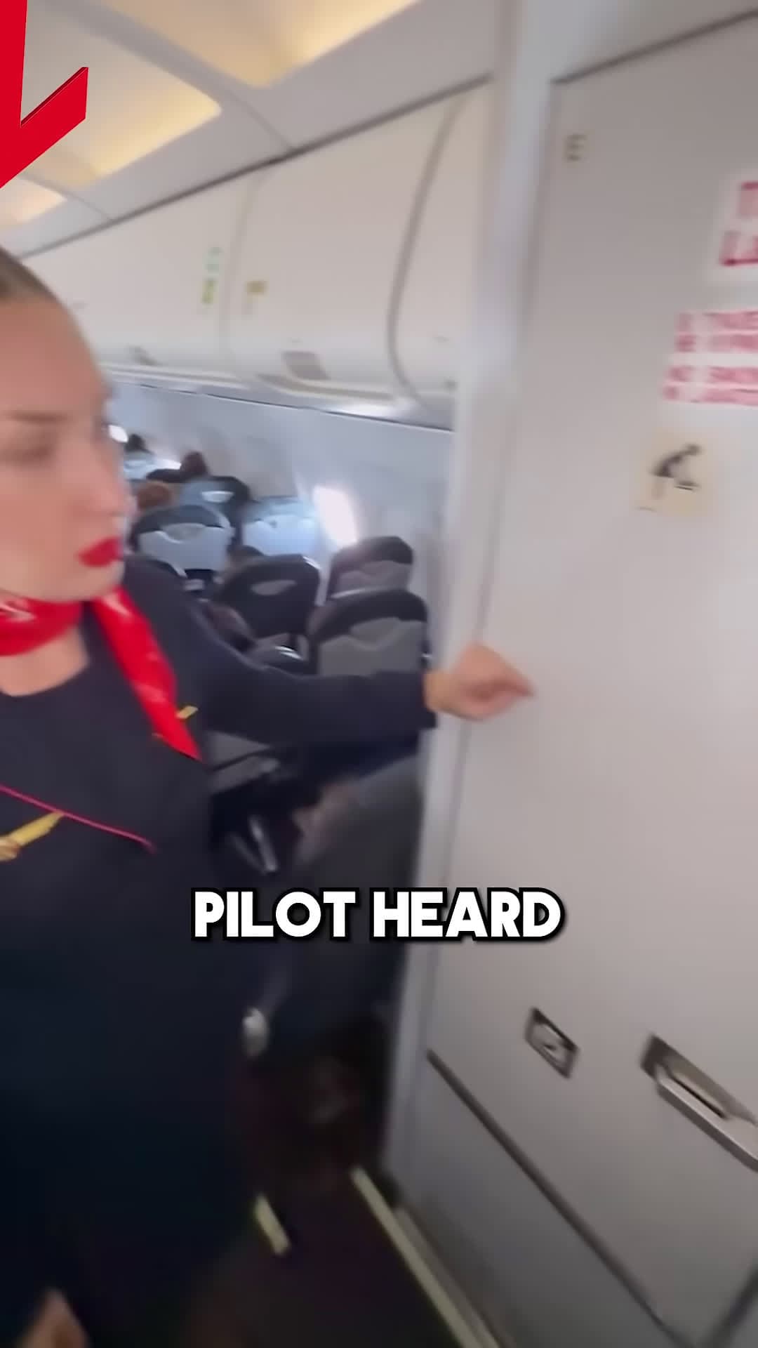 cover for This Pilot Heard a Noise but