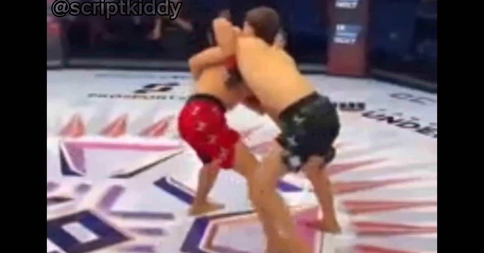 cover for referee had to stop this MMA fighter #mma #fight 