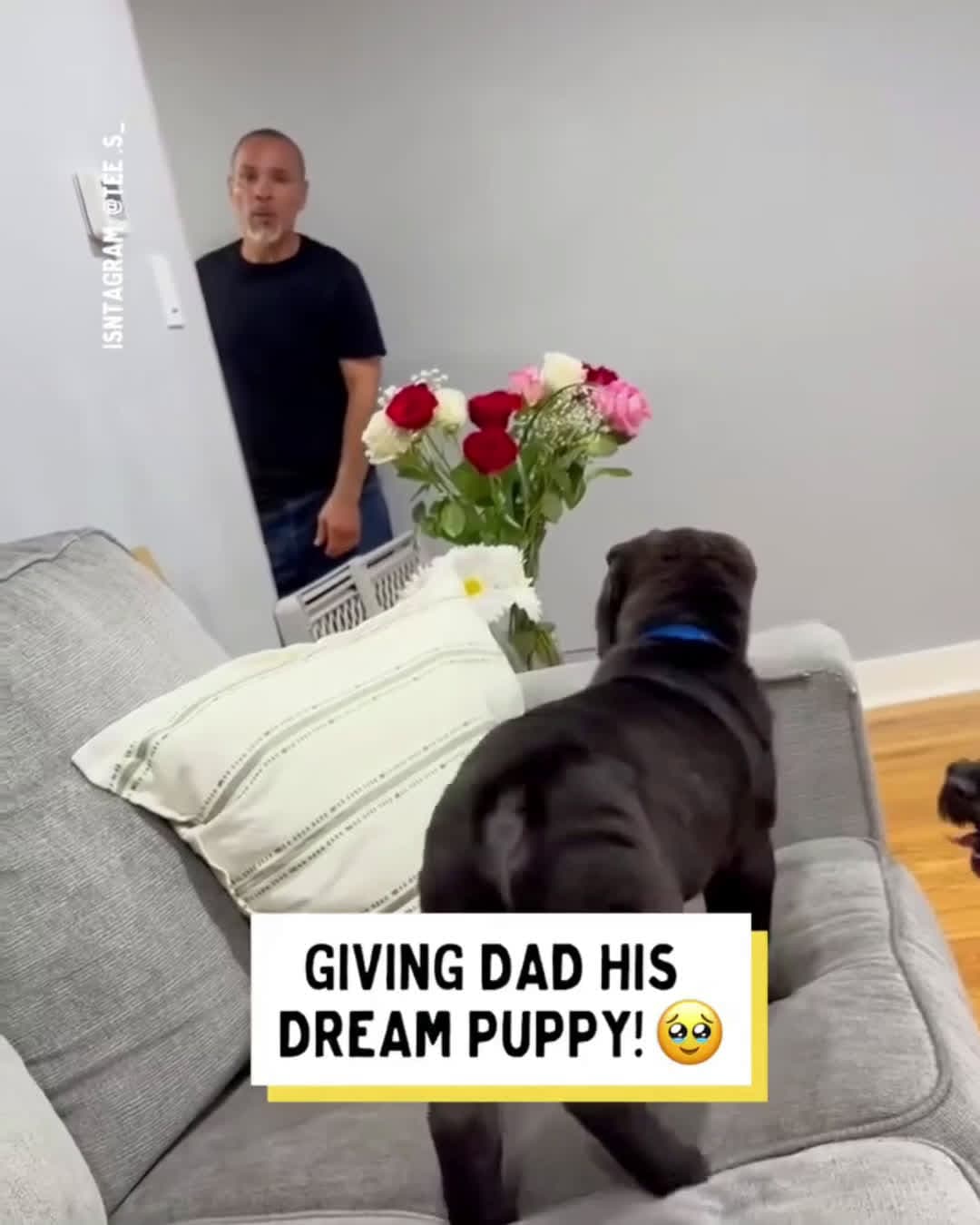 cover for Dad has got a new best friend, meet Pablo ❤