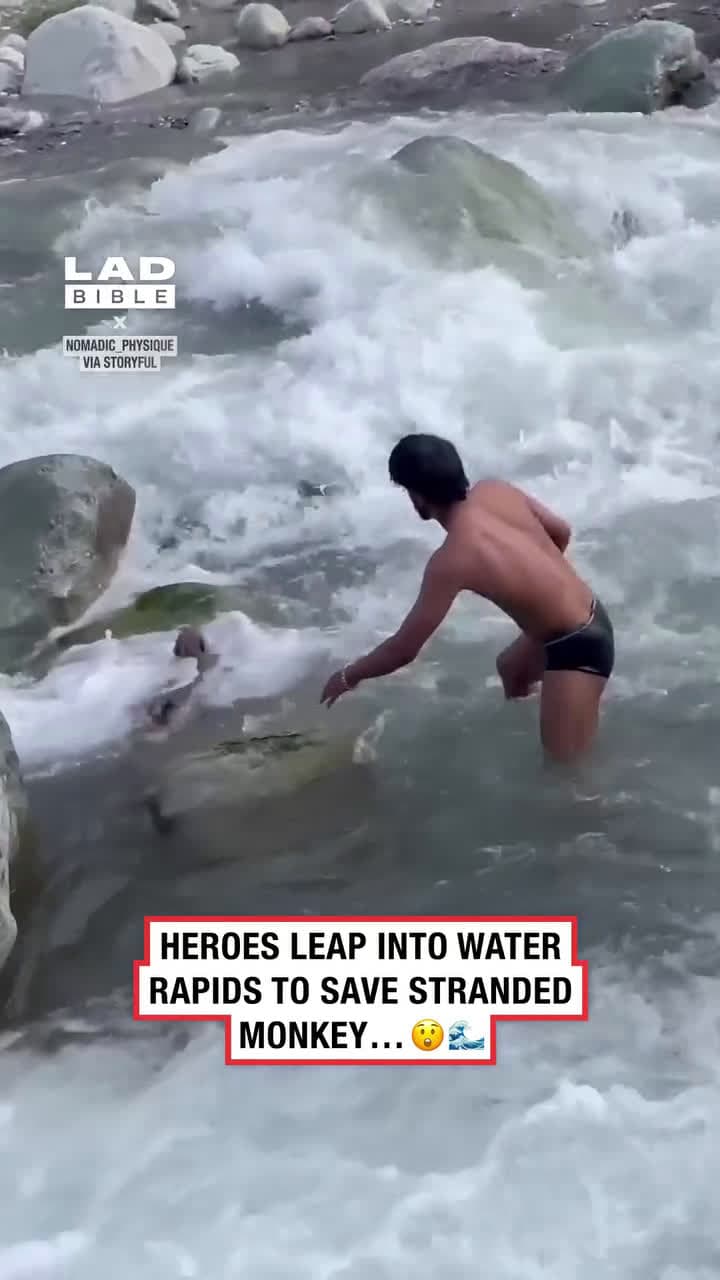 cover for They jumped into rushing water to save the stranded monkey#UnpopularOpinion #CaughtOnCamera