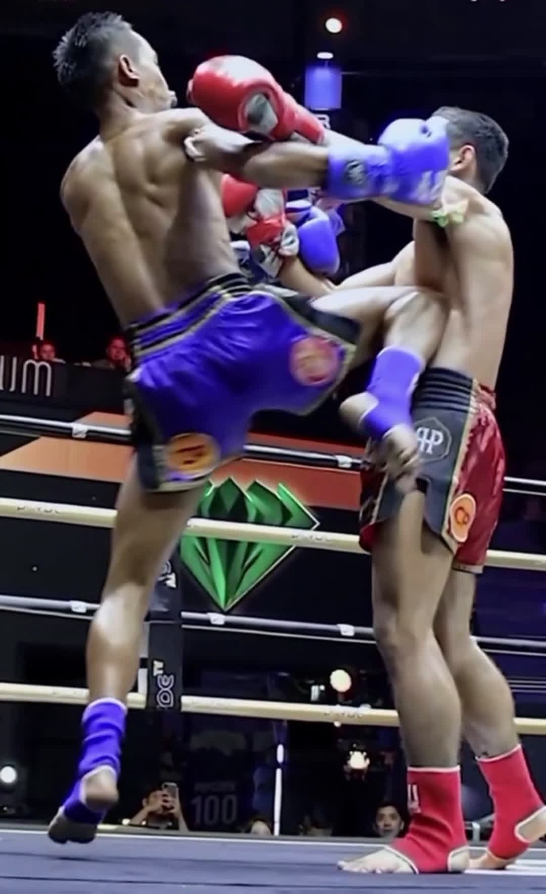 cover for pain #fight  #fightcam  #boxing 