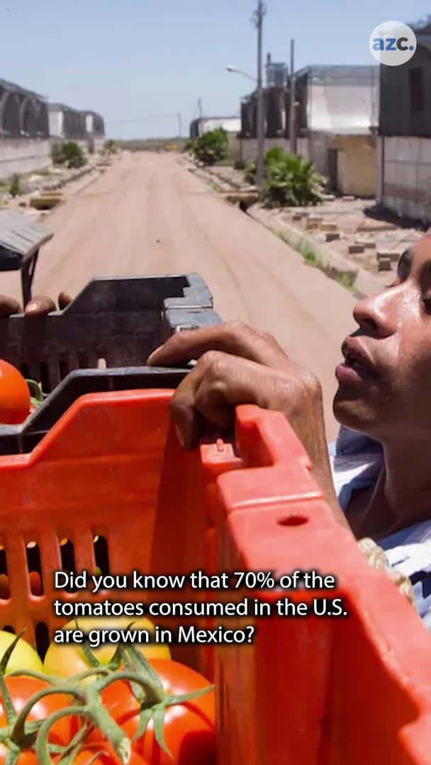 cover for What's the difference between tomatoes grown in Mexico versus Florida?