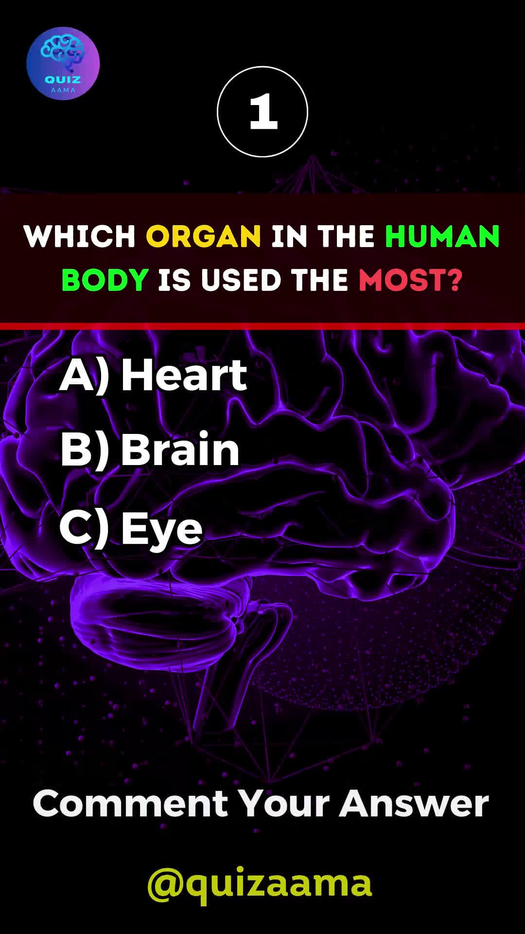 cover for Anatomy Quiz 🧠🧠 #quiz #anatomyquiz #anatomy #humananatomy #fyp  #trivia #gk #quizgame #dailytriviaquiz #quiztime #quizaama