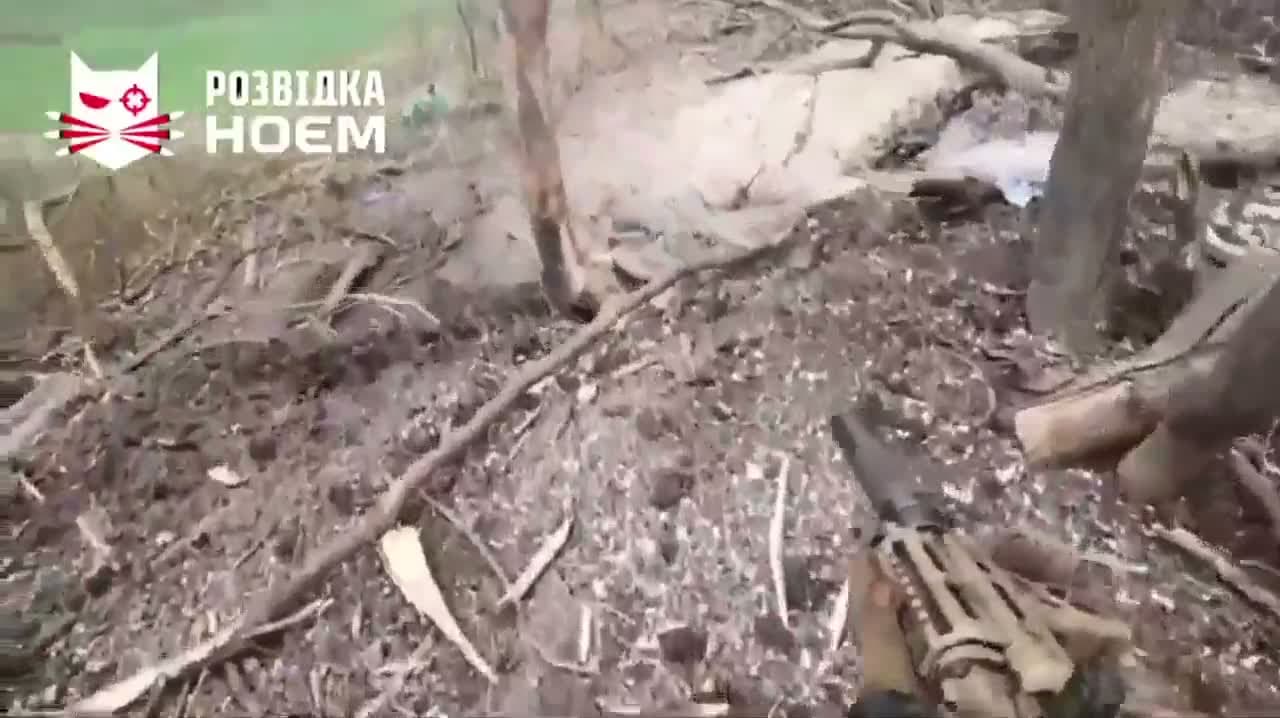 cover for Ukrainian 'Bratstvo' Unit Strikes Russian Position in Bold Raid! 💥 #Ukraine #Kharkiv #MilitaryOps #Bratstvo