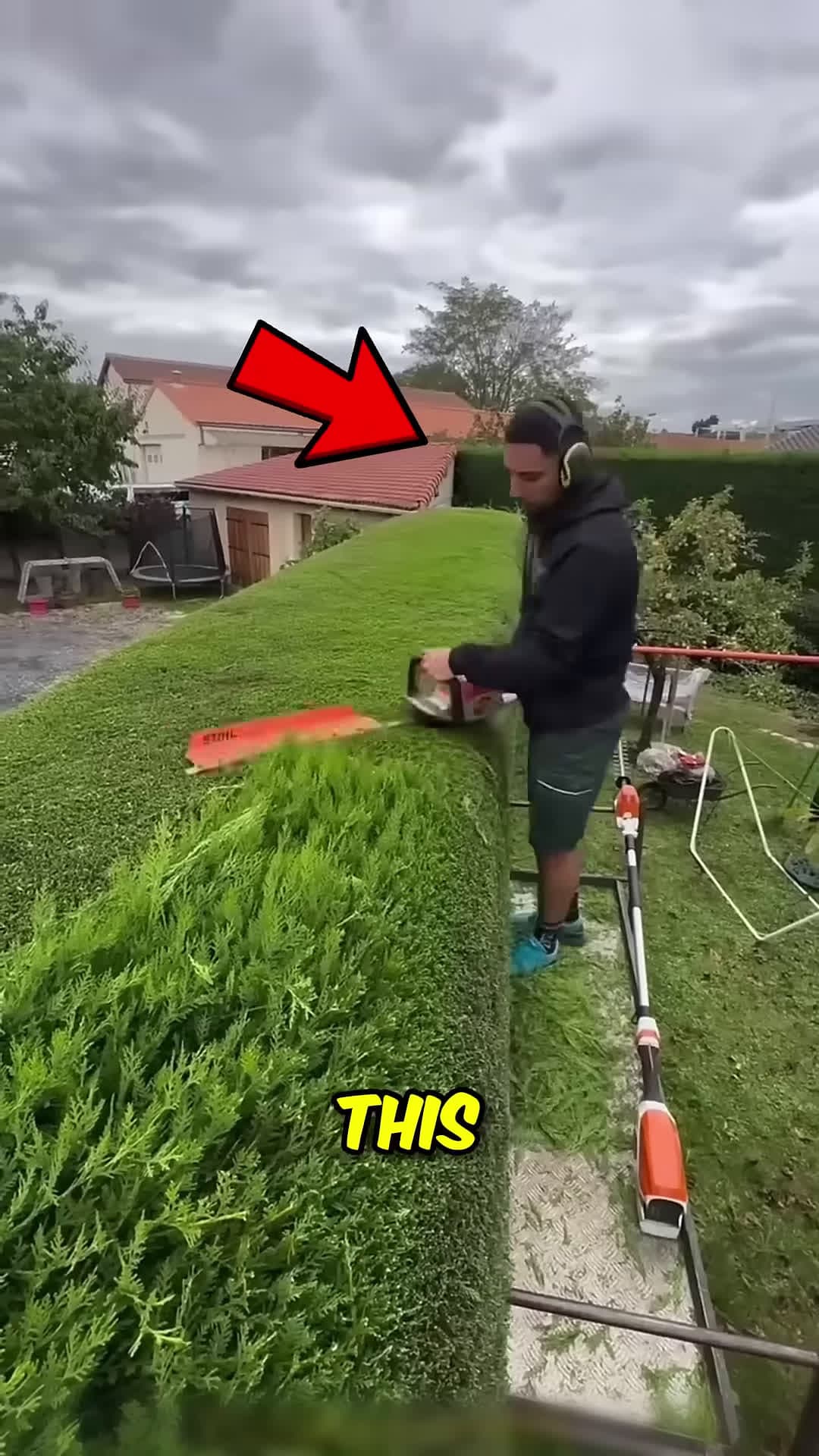 cover for This Guy Cut the Grass