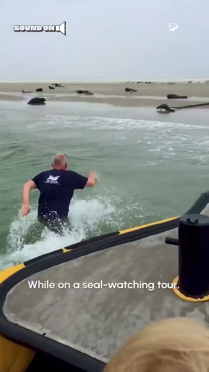 cover for Heartwarming moment: Hero rescues seal trapped in net 🦭❤️ #SealRescue #OceanHero #AnimalLove