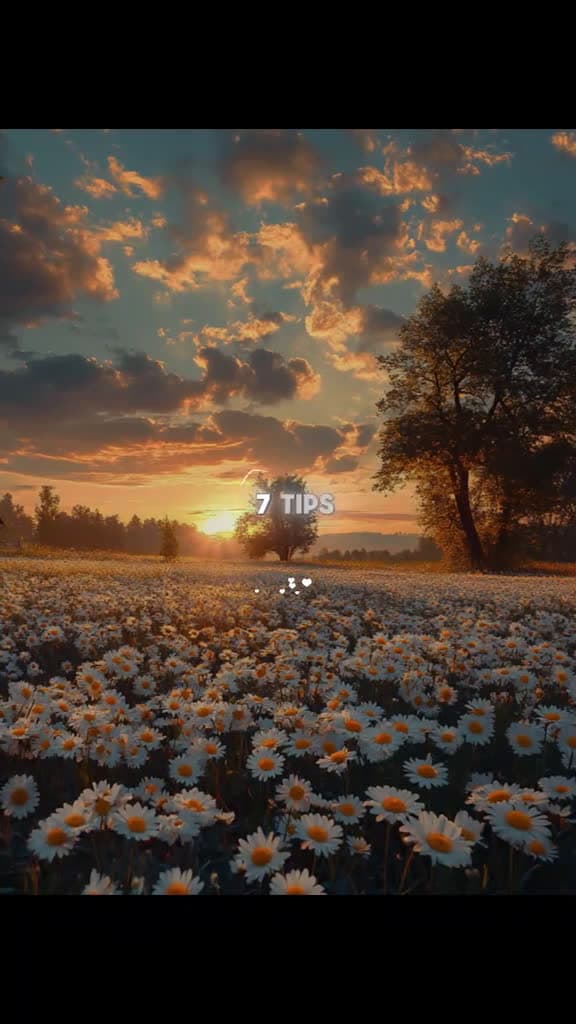 cover for lovequotes lovequote quoteslove 07146 #shortvideos