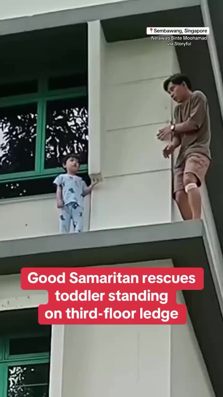 cover for good Samaritan rescues toddler standon third floor ledge...