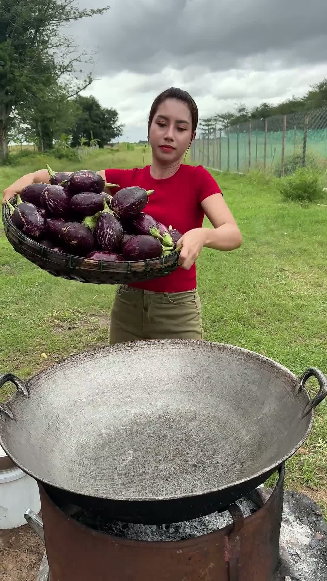 cover for How to grill eggplant with cheese, recipe outdoor cooking 
