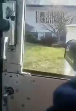 cover for Dog runs up to postal service vehicle and is super excited to see the employee