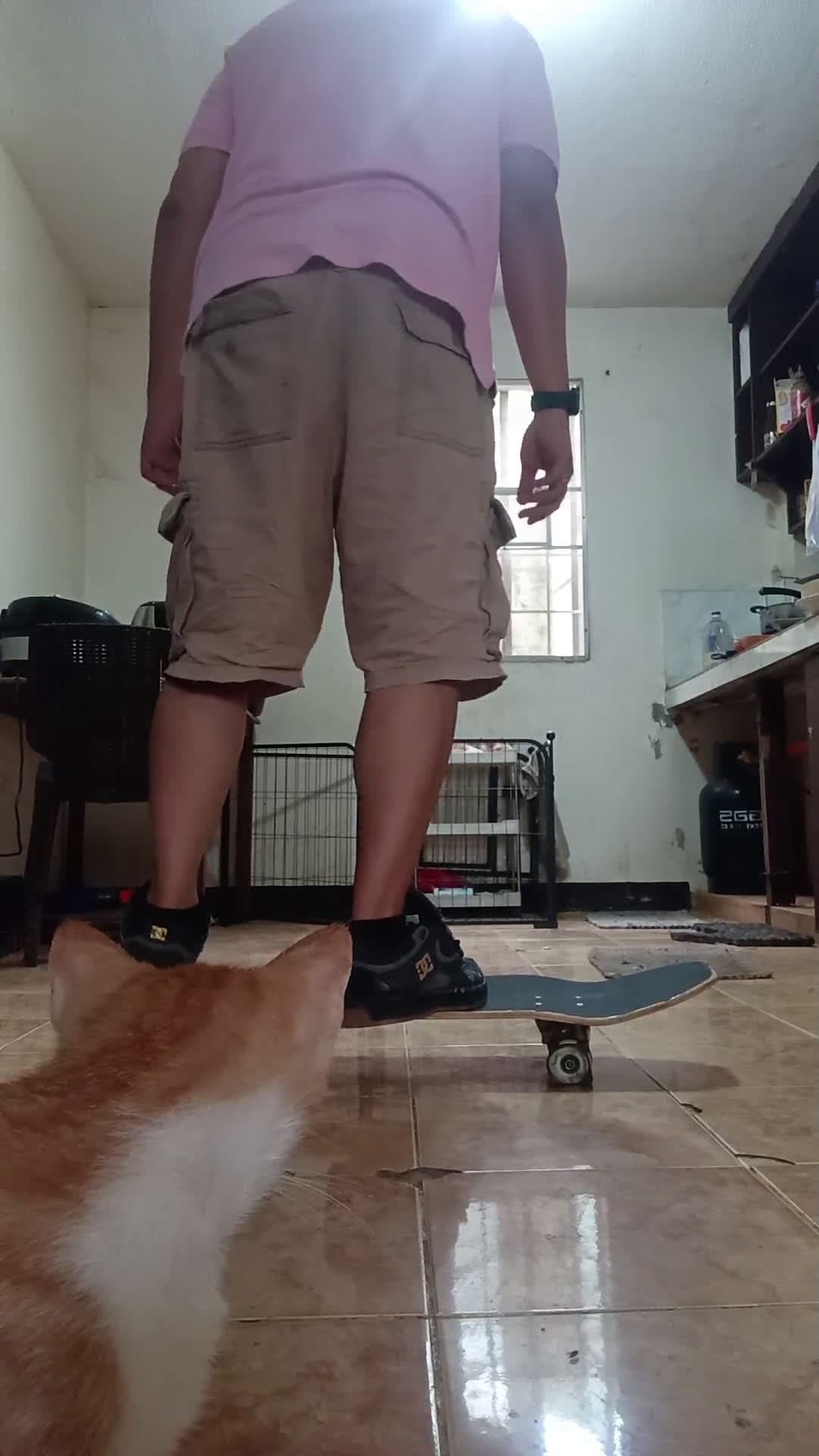 cover for Struggling to land shuvits clean? Here’s how to stick it on bolts! 🛹 #Skateboarding #Shuvit #SkateTips