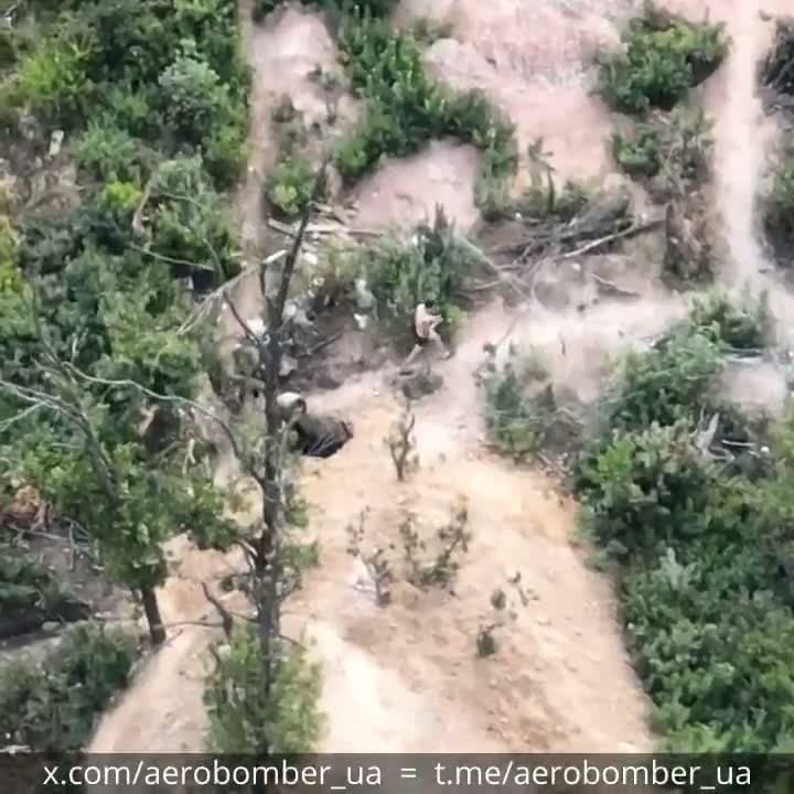 cover for Ukrainian 33rd Brigade drops grenade on Russian position near Soledar 🇺🇦🔥 #UkraineConflict #MilitaryAction #Soledar #33rdBrigade