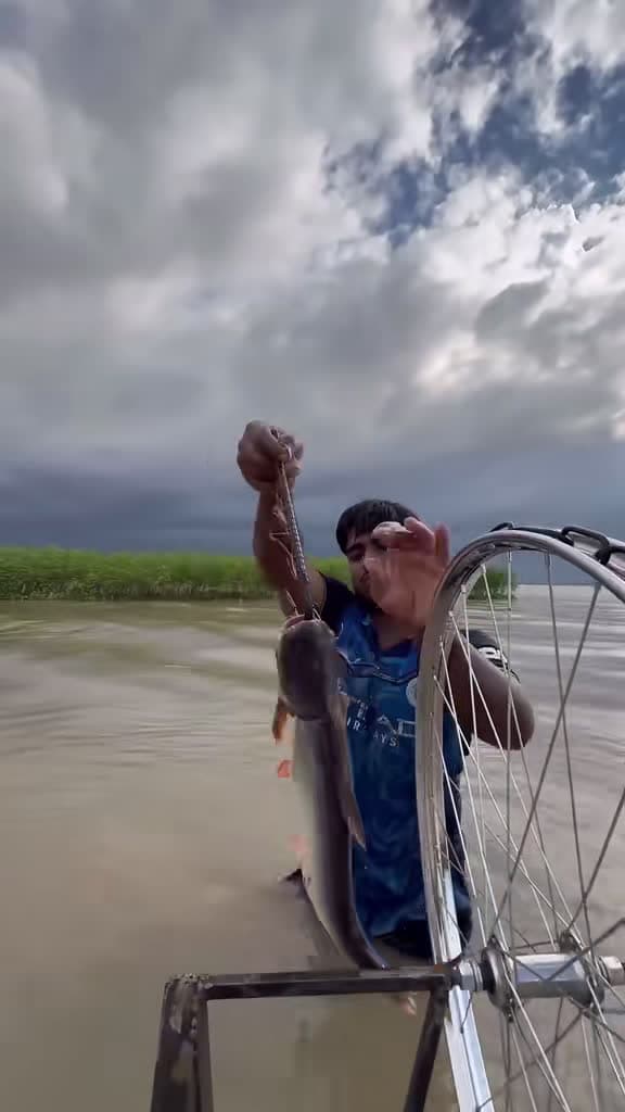 cover for Watch this amazing bicycle ring used to throw fish bait into the river! 🎣 #baitfishing #bigfish #catchingfish