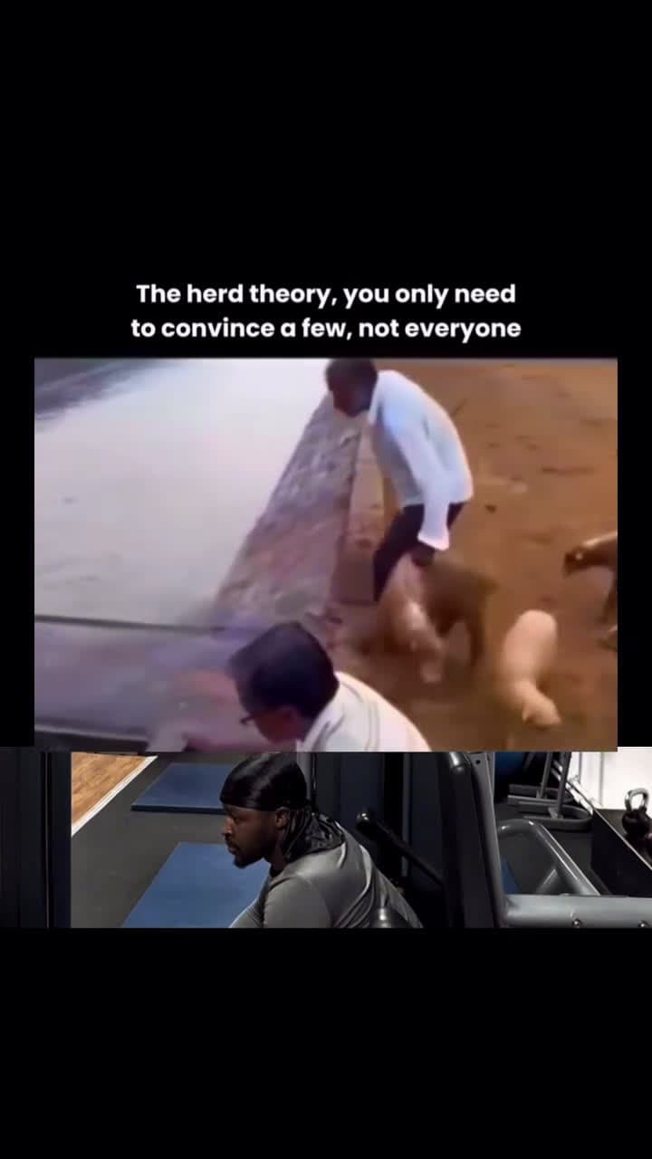 cover for the herd theory you only need to convince a few not everyone 
