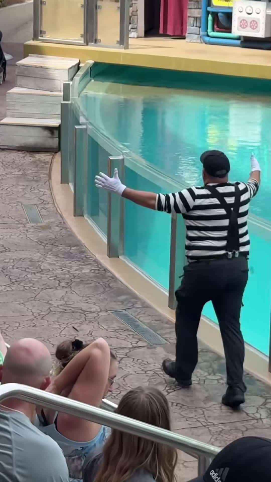 cover for This makes my day Tom the mime SeaWorld #seaworldmime #funny #comedy #viralvideo #tomthemime #seaworldorlando #seaworld #funnyvideos #funnyshorts #mime