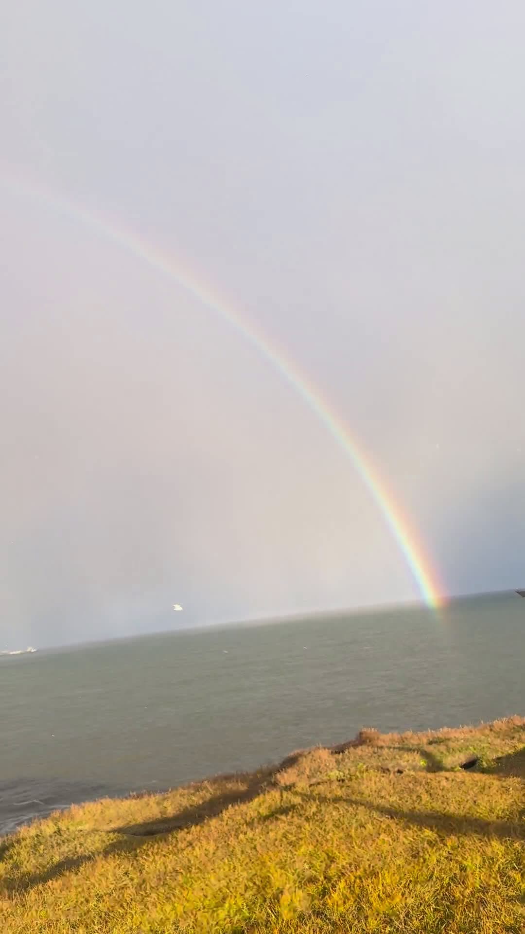 cover for A stunning full rainbow lights up the Arctic Ocean! 🌈❄️ #ArcticMagic #Rainbow #NatureWonders