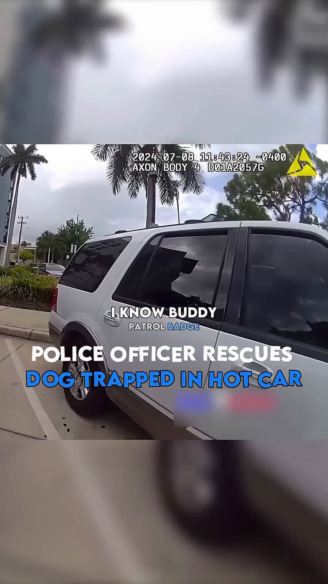 cover for Police Officer Rescues Dog Trapped in Hot Car 😰 #bodycam 