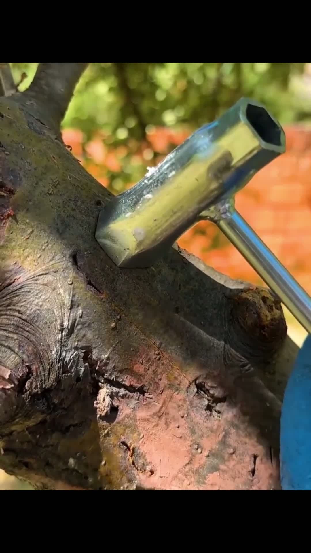 cover for Watch this simple tree grafting method to grow stronger trees! 🌳✨ #TreeGrafting #GardeningTips #PlantHacks