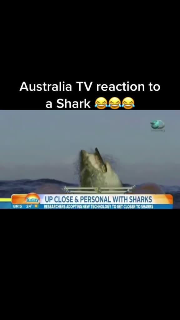 cover for Australia TV reaction to a Shark   Nature Aussie greatwhiteshark 96198 #followMe