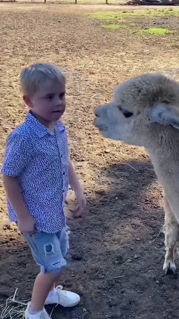 cover for When animals scare away kids😂