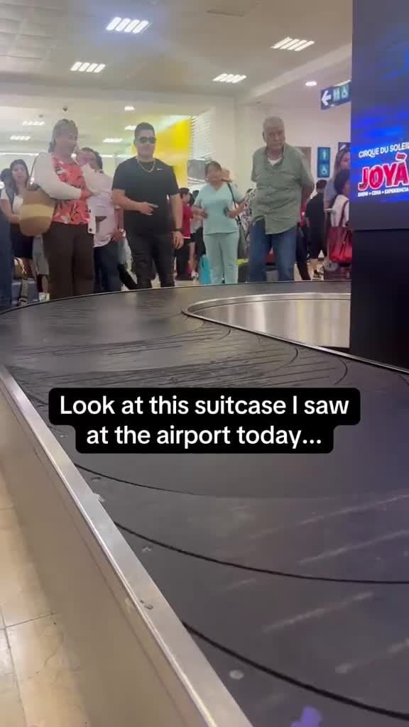 cover for Look at the suitcase, I saw at the airport today!