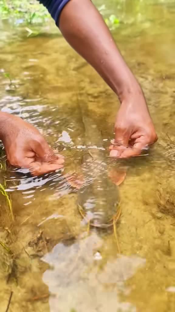 cover for Ultimate fishing hack you need to try! 🎣 #FishingTips #Viral #Trending