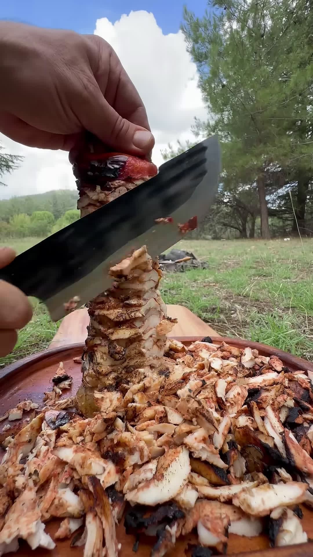 cover for Chicken Shawarma Wrap in the Wild