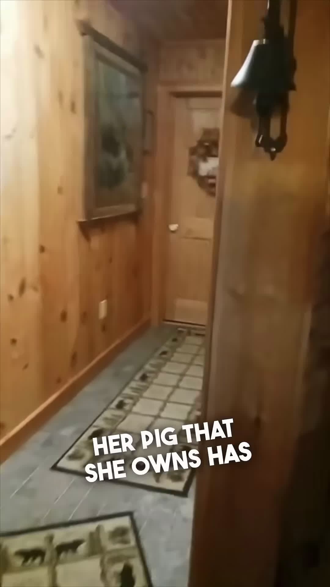 cover for When you have to wake up your pig in the morning
