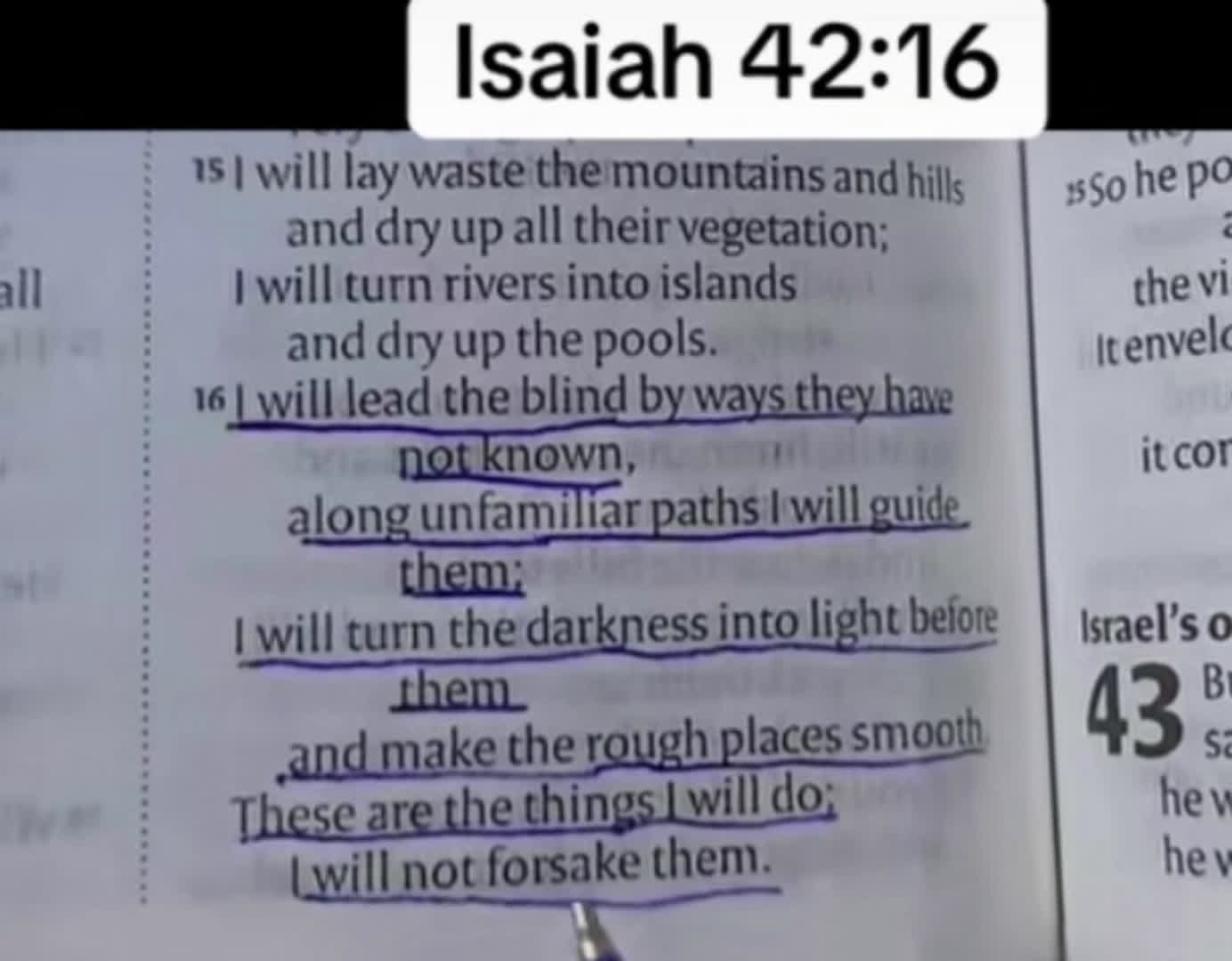 cover for #dailyscriptures 