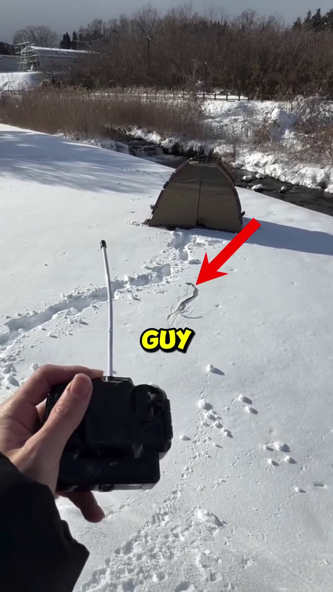 cover for He used a remote snake to prank his friend