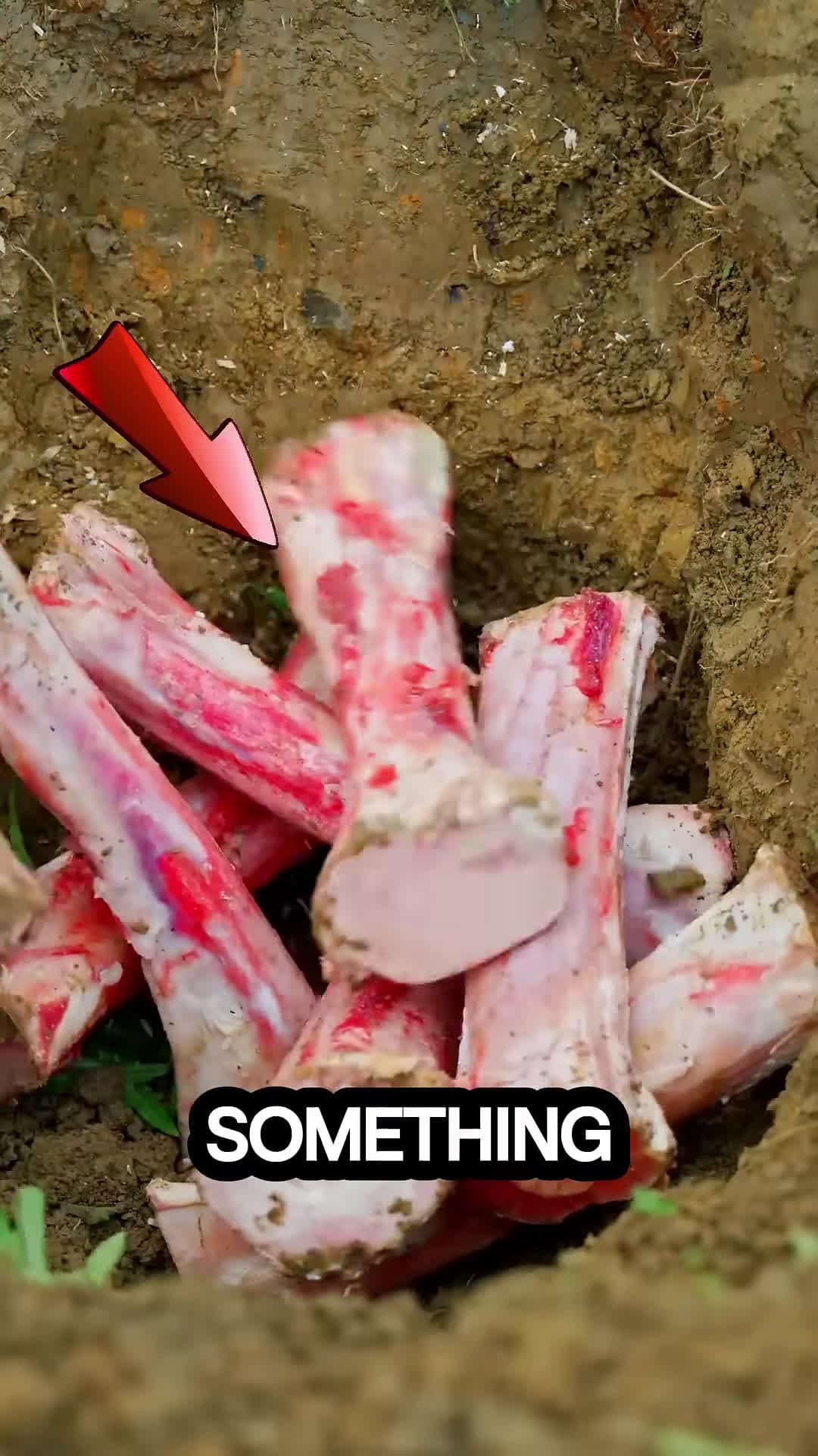 cover for This Guy Buries Bones For 30 Day To Make A Masterpiece amazing viralvideo