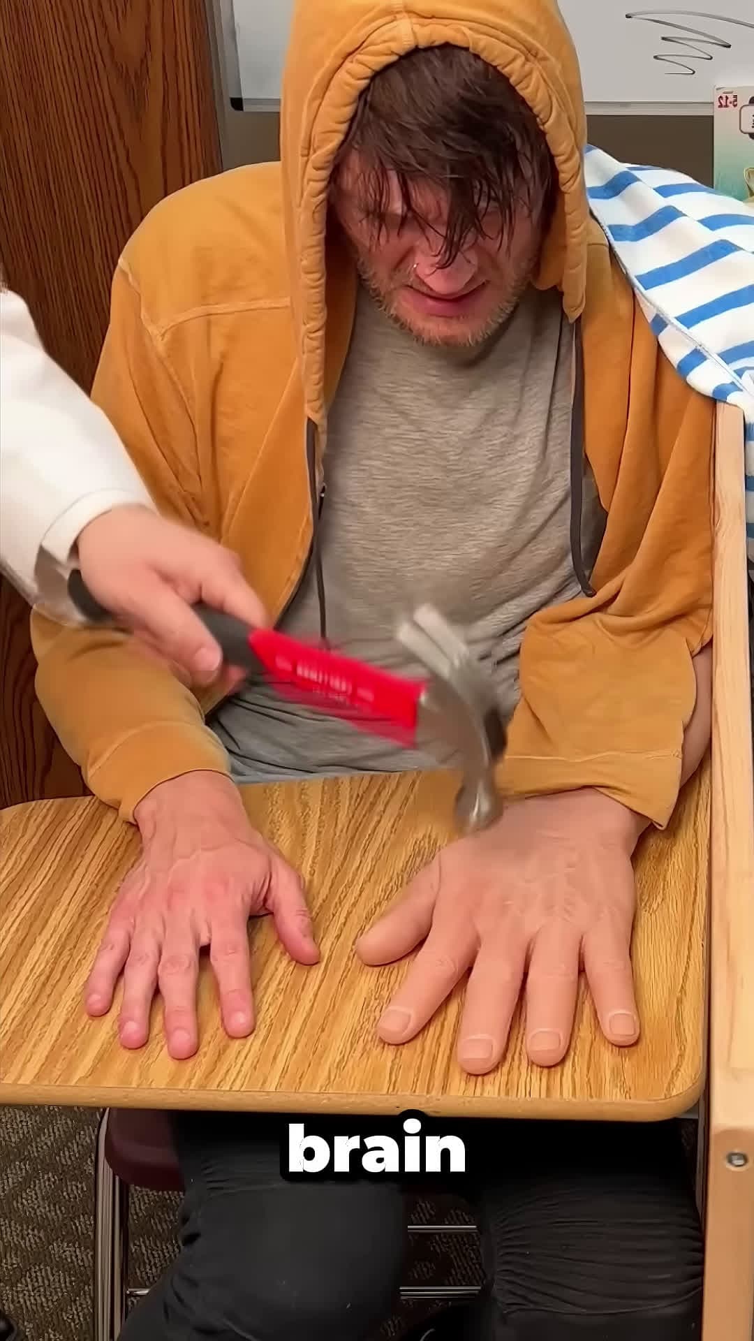 cover for Can Your Brain Tell Which Hand Is Fake
