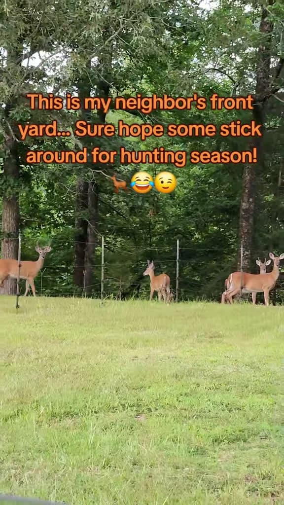 cover for So many bucks in one spot! Have you ever seen this many deer together? 😲🦌 #Arkansas #Deer #Wildlife
