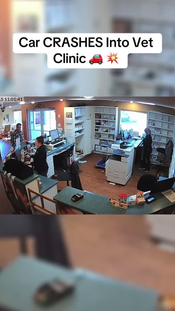 cover for Car Crashes Into Vet Clinic 😱
