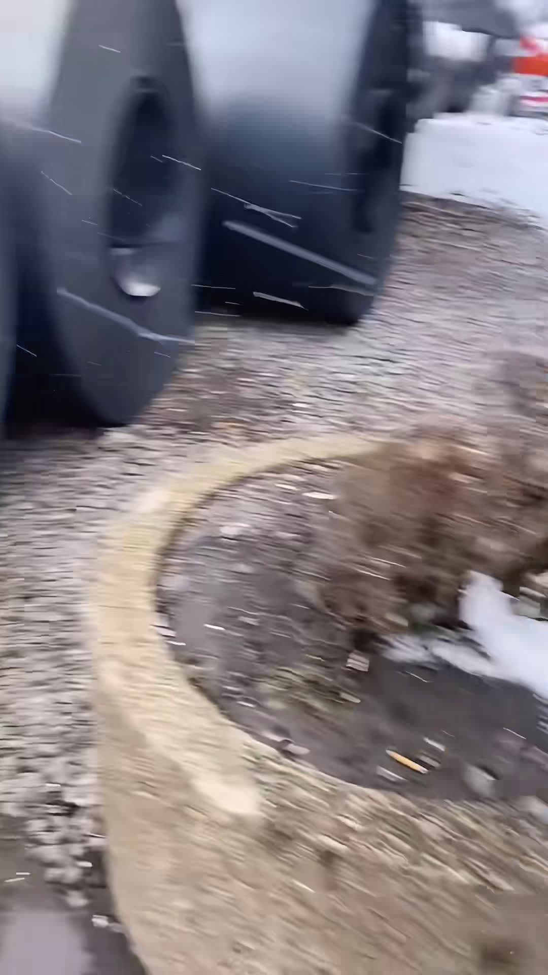 cover for #OddlySatisfying Winter is strangely interesting #ice #snow #satisfying #fyp #asmr