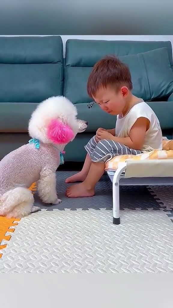 cover for Funny dog love baby  #funny  #funnyvideos  #fun