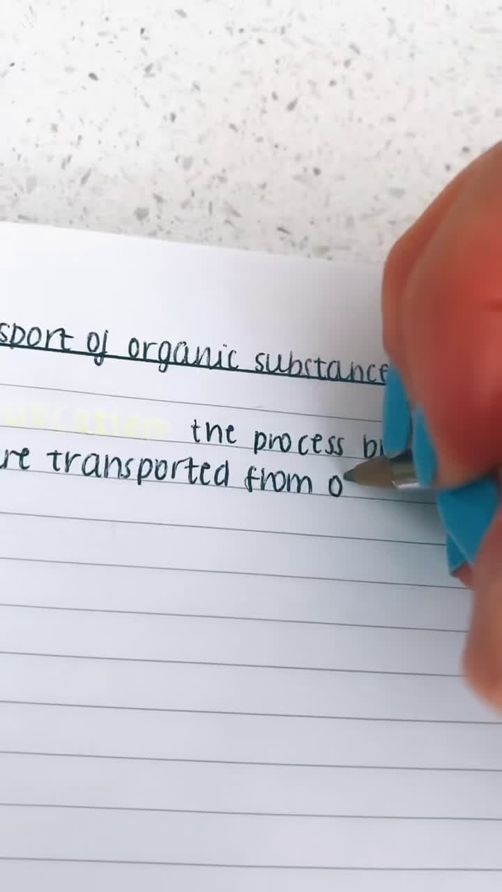 cover for some a level bio notes on translocation 🌾 #fyp #foryou #foryoupage #notes #study #revision #biology #alevels #handwriting #viral #aesthetic