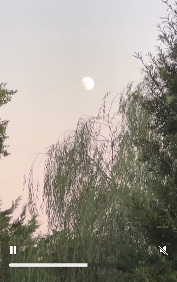 cover for Filmed the Moon and spotted something strange — you won’t believe this! 🌕👀 #Moon #Mystery #NightSky #WhatIsThis