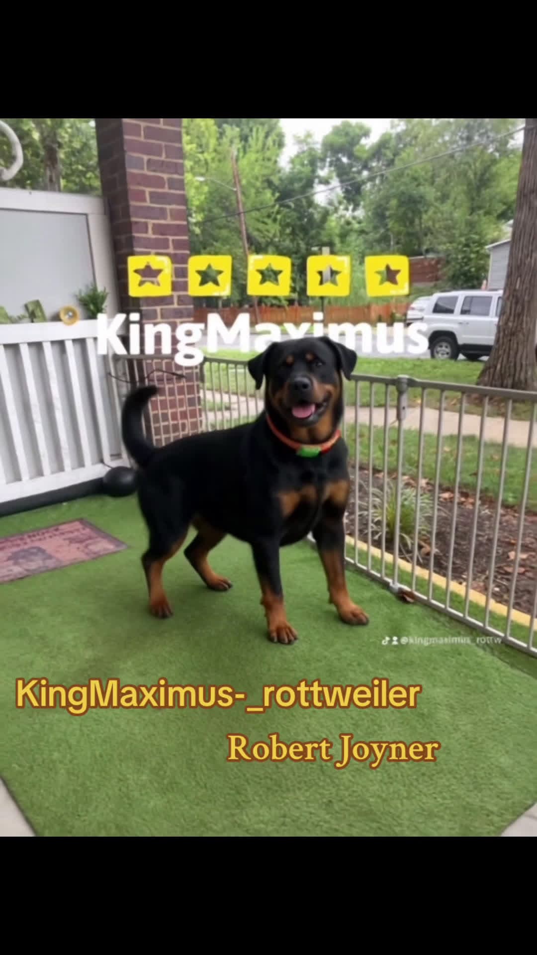 cover for KingMaximus