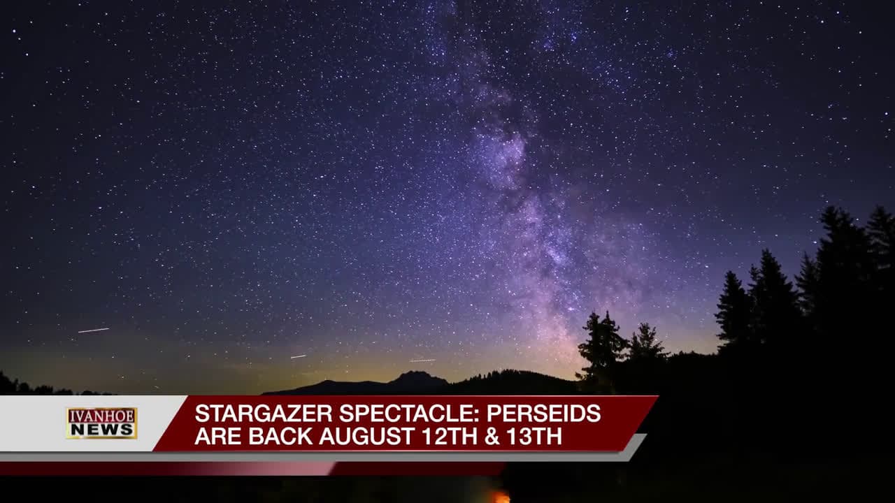cover for Stargazer Spectacle: Perseids Are Back August 12th & 13th