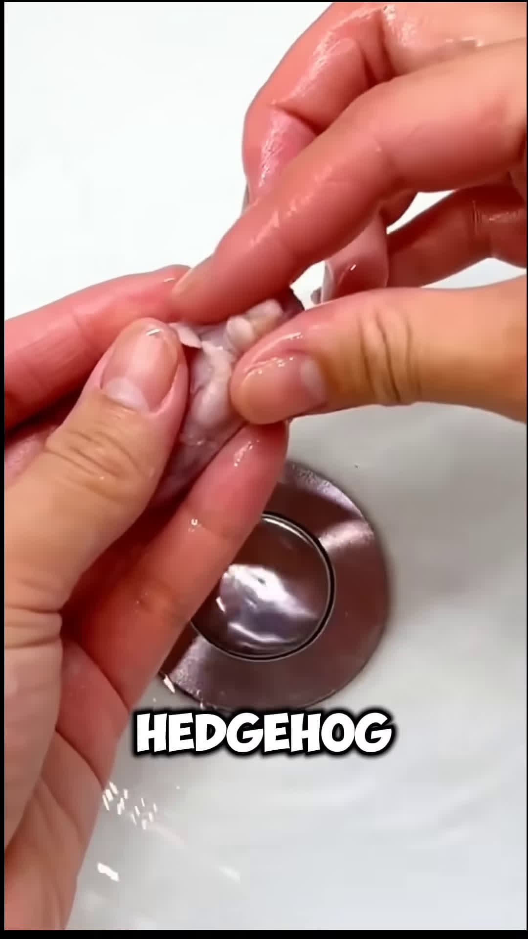 cover for The girl rescued and adopted a baby hedgehog