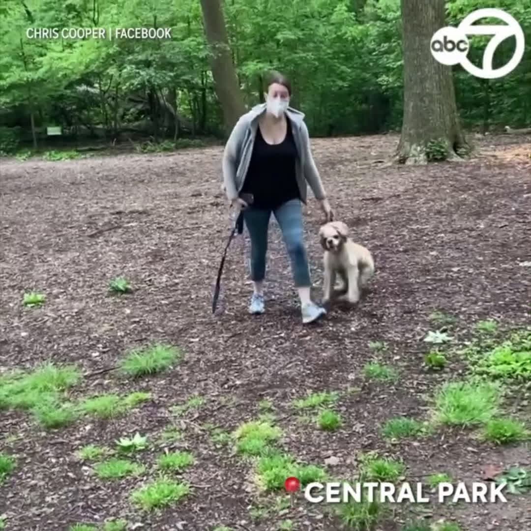 cover for VIDEO SPARKS OUTRAGE: A confrontation caught on camera in Central Park is going viral. Chris Cooper, the man who recorded the encounter, said the woman called police on him after he asked her to put her dog on a leash.